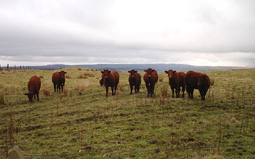 We're Outstanding in our Field
